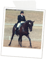 Dressage